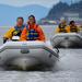 Ketchikan Shore Excursion: Zodiac Wildlife Adventure