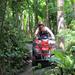 ATV Tour with Monkey Forest Experience in Bali
