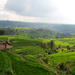 Private Tour: Temple and Countryside Tour from Bali
