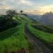 Private Tour: Ubud Rice Paddies Trek with Campuhan Ridge Walk