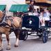 Historic Carriage Tour of Charleston