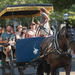 Private Historic Carriage Tour of Charleston