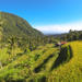 Bali Day Tour of Sunrise Watch at Kintamani, Lemukih Rice Field and Sekumpul Waterfalls