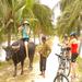 Nha Trang Countryside Full-Day Bike Tour
