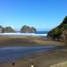 Piha and Karekare Rainforest Wine Adventure Tour