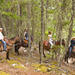 Half Day Guided Horseback Ride at Birkenhead Lake