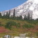 Private Mount Rainier Tour from Seattle