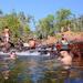 Litchfield and Jumping Crocodiles Full Day Trip from Darwin