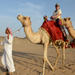 Morning Camel Trekking Safari from Dubai 