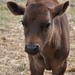 Bend Farm and Ranch Tour