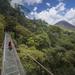 Arenal Hanging Bridges Hiking Tour