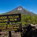 Arenal Volcano National Park Walk with Optional Hot Springs