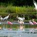 Birdwatching at Mundo Aventura Natural Park