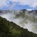 Cloud Forest Hike at Juan Castro Blanco National Park