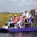 Economy-Shared Everglades Airboat Tour from Miami