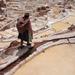 Maras Moray and Salt Mines Half-Day Tour