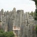 Stone Forest Private Day Tour