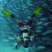 Cabo Pulmo Full Day Dive Tour 