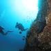 Discover Scuba Diving Experience for Beginners 