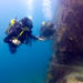 Open Water Diver Referral Course in Los Cabos