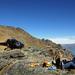 Private Champagne Picnic on Cecil Peak with Helicopter Ride 