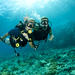 Introductory Scuba Diving in Bali