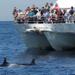 Port Stephens Dolphin Watch Tour from Sydney