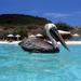 Private Curaçao Beaches Tour Including Kenepa Beach