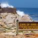 Cape Peninsula Private Day Tour