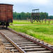 Auschwitz-Birkenau Museum Half-Day Bus Tour from Krakow