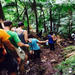 Hiking Mount Liamuiga Volcano in St Kitts