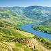 Full-Day Tour in Douro with Lunch