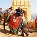 7-Day Heritage Tour of South and Central Rajasthan