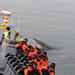 Small-Group Reykjavik RIB Whale Watching Cruise