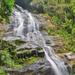 Tijuca National Park Customizable Private Tour in Rio de Janeiro