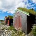 Small-group Arctic Landscapes Sightseeing Tour from Tromso - summer