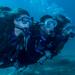 Diving Tour at Bona and Otoque Islands