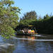 Pantanal Carioca Sightseeing Boat Tour with Optional Lunch