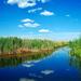 The Delta nearby Bucharest seen by boat