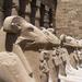 9-Night Small-Group Sands and Sea Tour from Cairo