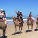 Agadir 2-Hour Camel Ride