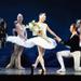 St Petersburg Private Theater Tour and Russian Classical Ballet Evening Performance