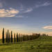 Private Tour: Medieval Val d'Orcia by Minivan from Florence