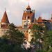 Day Trip Through Brasov in Transylvania and Bran, Peles, and Rasnov Castles