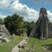 Private Tikal Maya City Tour Including Lunch