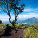 Mt. Merapi Slopes Hiking Day Trip from Yogyakarta