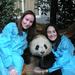 One-Day Private Panda Tour of Chengdu