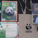 Dujiangyan Panda Base with Optional Volunteering and Photo-taking with Panda