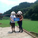 Private Chengdu Giant Panda Base and Leshan Giant Buddha Trip by High-Speed Train