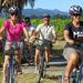  Deluxe Full-Day Marlborough Wine Region Guided Bike Tour